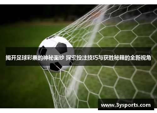 揭开足球彩票的神秘面纱 探索投注技巧与获胜秘籍的全新视角