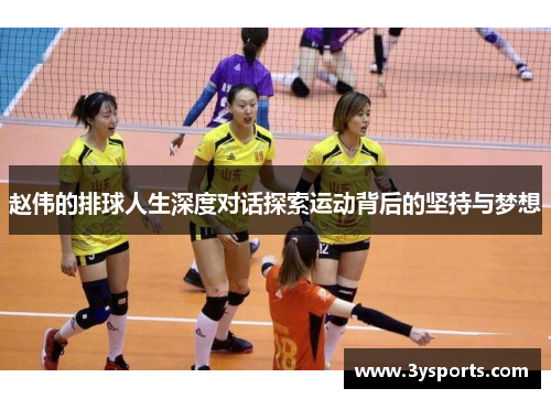 赵伟的排球人生深度对话探索运动背后的坚持与梦想